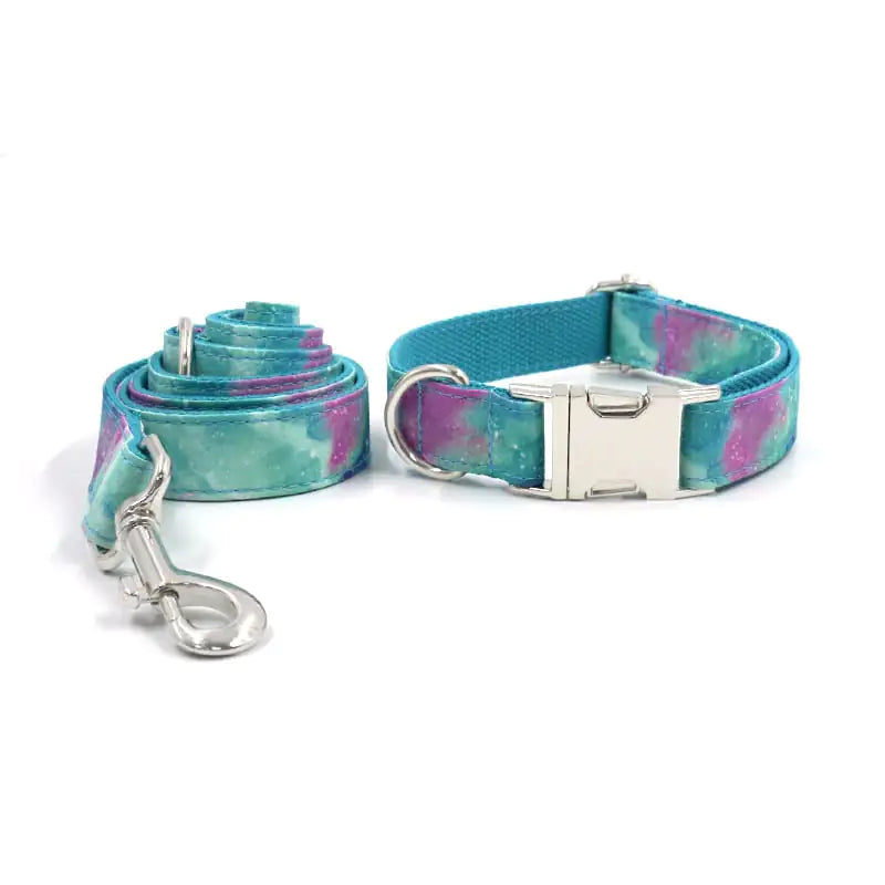 Durable Dog Collar with Traction Belt for Foreign Trade